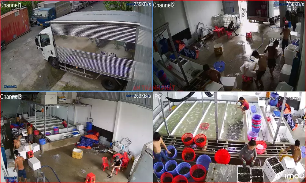 Công Ty Lắp Camera Quận 8 Giá Rẻ