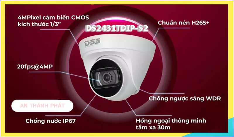 Camera IP Dahua DS2431TDIP-S2
