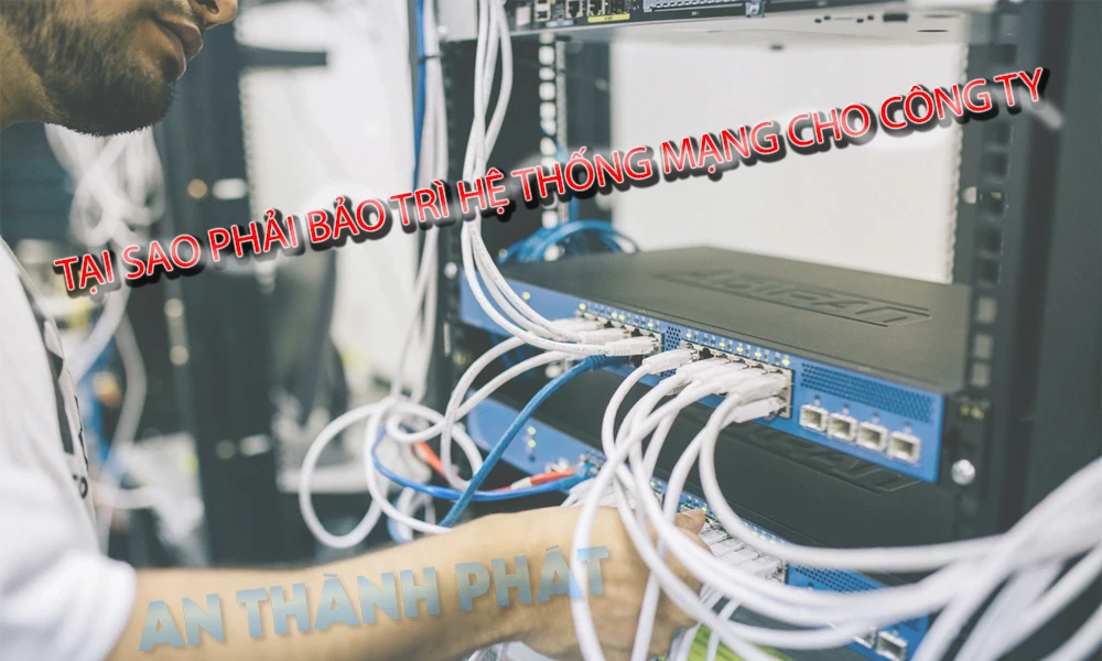 <b class='sty6'><i class='sty9'><b>Dịch Vụ Bảo Trì Hệ Thống Mạng Tân Bình</b></i> </b>